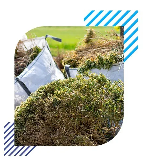 Green waste right feature image
